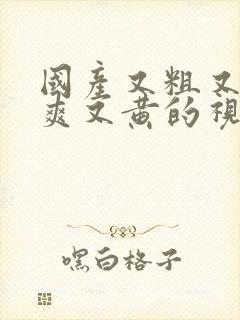 国产又粗又猛又爽又黄的视频在线看