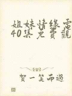 姐妹情缘电视剧40集免费观看