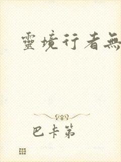 灵境行者无错版