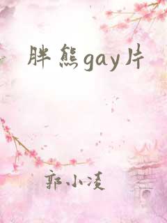 胖熊gay片