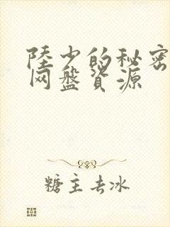 陆少的秘密恋人网盘资源