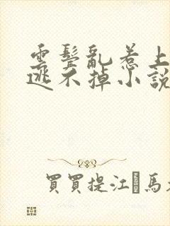 云鬓乱惹上权臣逃不掉小说全文免费阅读