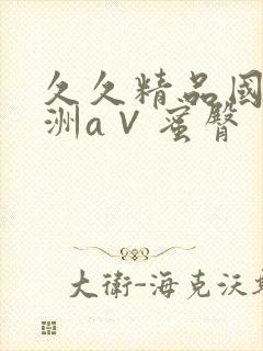 久久精品国产亚洲a∨蜜臀