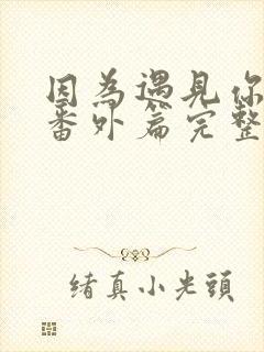 因为遇见你后续番外篇完整版