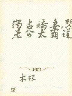 独占娇妻,闪婚老公太霸道的全文免费阅读