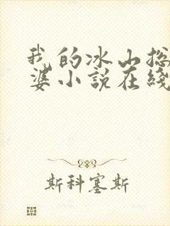 我的冰山总裁老婆小说在线