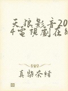 天狼影音2024电视剧在线观看免费