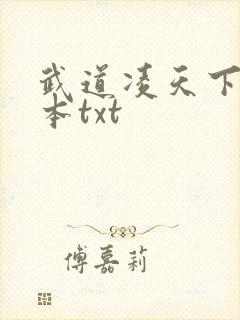 武道凌天下载全本txt