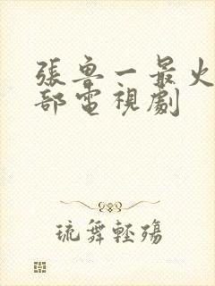 张鲁一最火的十部电视剧