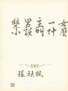 双男主一女主的小说叫什么