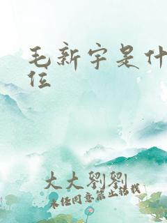 毛新宇是什么职位