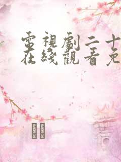 电视剧二十不惑在线观看免费