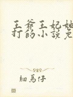 王爷王妃她很能打的小说免费阅读