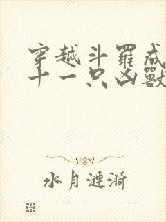 穿越斗罗成为第十一只凶兽