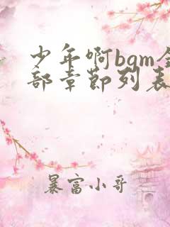 少年啊bgm全部章节列表