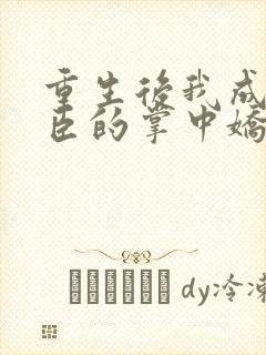 重生后我成了权臣的掌中娇宁晚舟