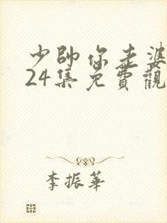 少帅你老婆又跑24集免费观看