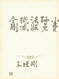 全职法师小说无删减版免费阅读