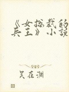 《女总裁的极品兵王》小说