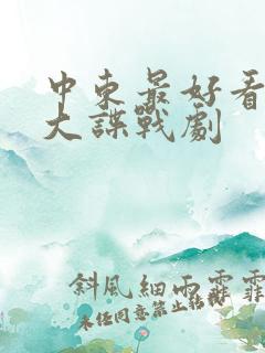 中东最好看的十大谍战剧