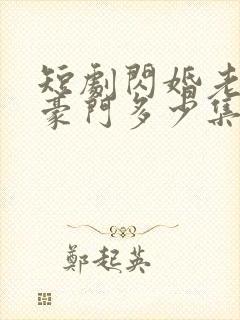 短剧闪婚老公是豪门多少集