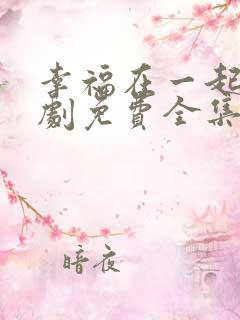 幸福在一起电视剧免费全集