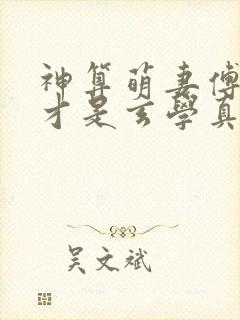 神算萌妻傅太太才是玄学真大佬全部章节