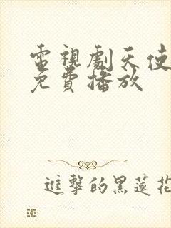 电视剧天使的城免费播放