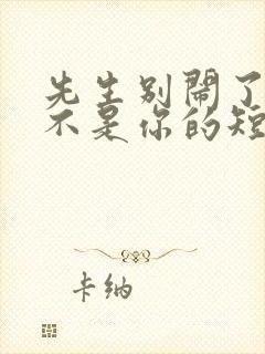 先生别闹了新娘不是你的短剧播放