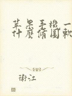 苹果手机一般用什么修图软件