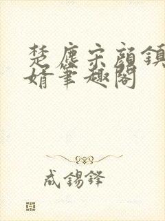 楚尘宋颜镇国神婿笔趣阁