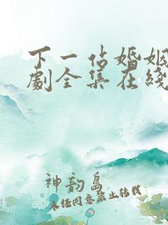 下一站婚姻电视剧全集在线观看免费