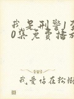 我是刑警1至40集免费播放电视剧大全