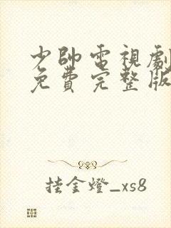 少帅电视剧高清免费完整版 下载