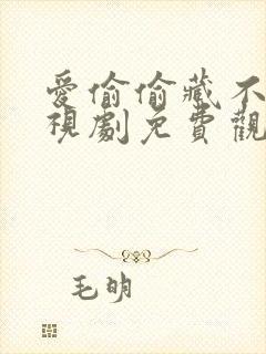 爱偷偷藏不住电视剧免费观看