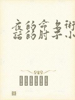 夜的命名术会说话的肘子小说txt