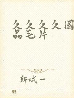 久久久久国产精品毛片