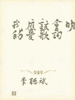 我应该会明白你的爱歌词