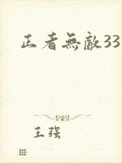 正者无敌33集