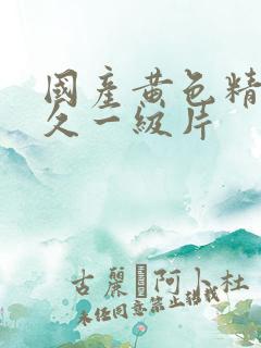 国产黄色精品久久一级片