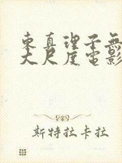 东真理子无删减大尺度电影