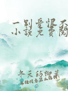 一别爱恨不见卿小说免费阅读