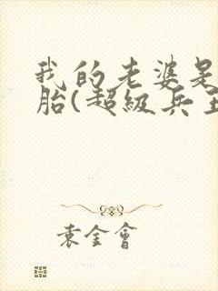 我的老婆是双胞胎(超级兵王在都市)