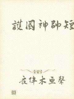 护国神帅短剧版