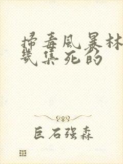 扫毒风暴林队第几集死的