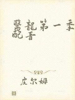 医龙第一季国语配音