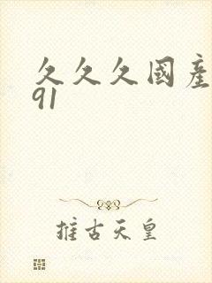 久久久国产精品91