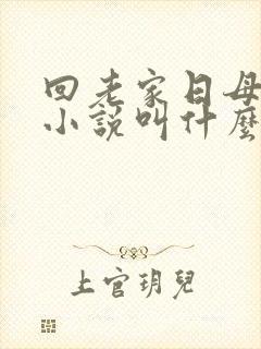 回老家日母原著小说叫什么名字