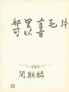 哪里有毛片网站可以看