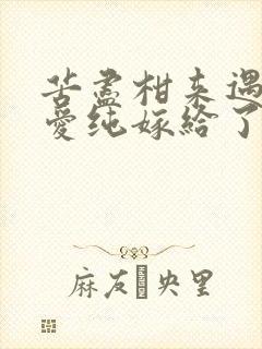 苦尽柑来遇见你爱纯嫁给了谁